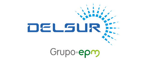 logo-delsur